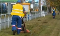 kliknij aby powi�kszy�